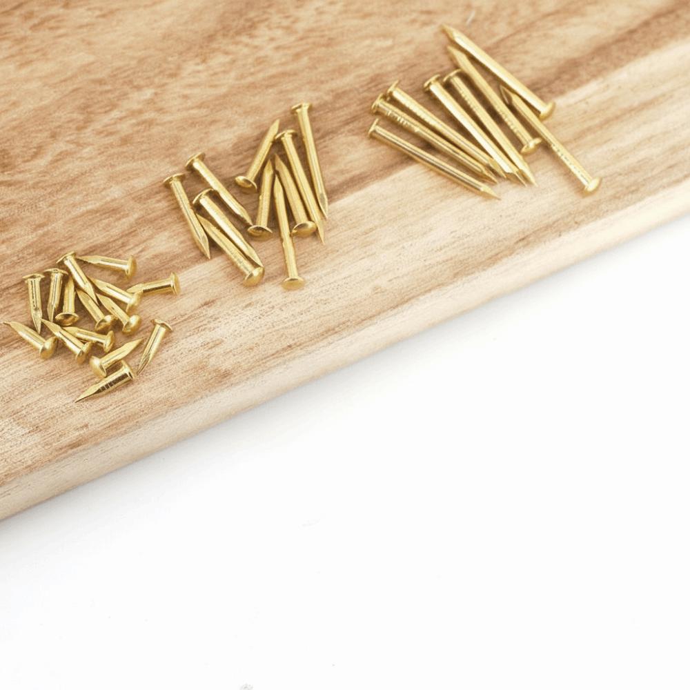100 pcs Pure Brass Brass Nails Rust-proof Brass Nail Track Mini Round Head Pins Fine Repair