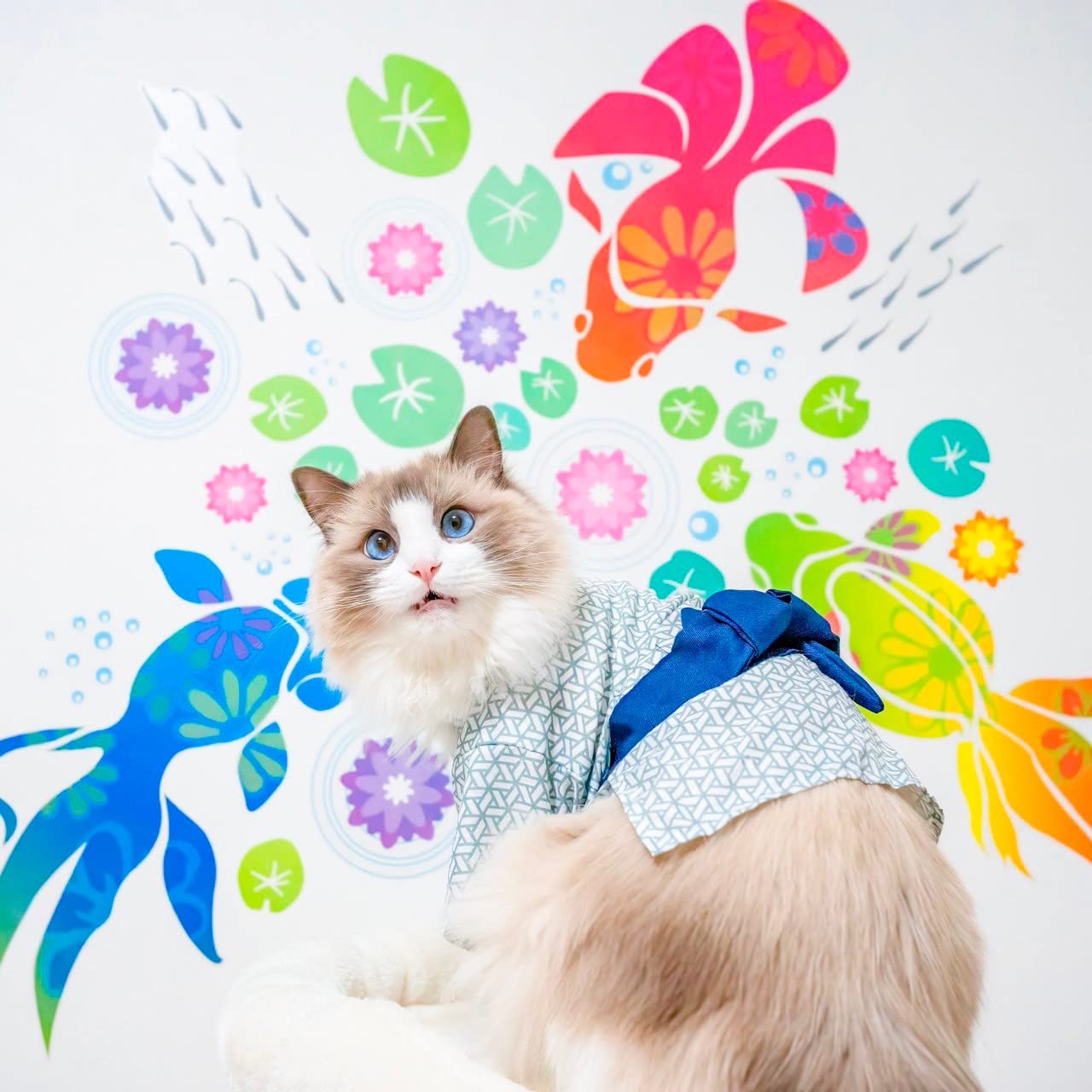 

Square Shop Wall Sticker Goldfish Sticker 30cm x 135cm Seal Summer Sea Marine Room Kids Kids Children Boys Girls Stylish Goldfish Children s (Regular