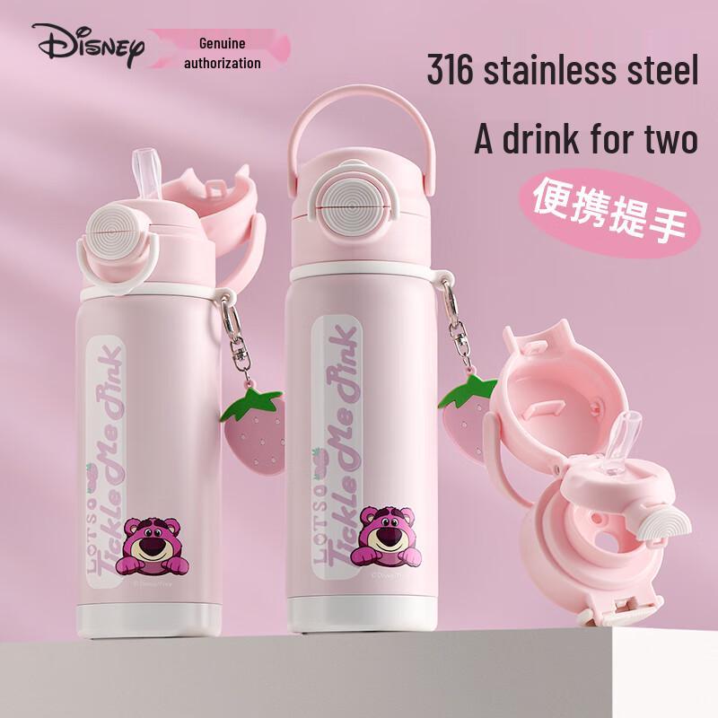 Disney Kids 316SS Insulated Straw & Spout Water Bottle