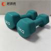 Hexagonal Frosted Dumbbell Set