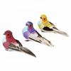 Exquisite Animal Model Cute Bird Ornament Christmas Colorful Craft Party Decoration for Indoor Outdoor
