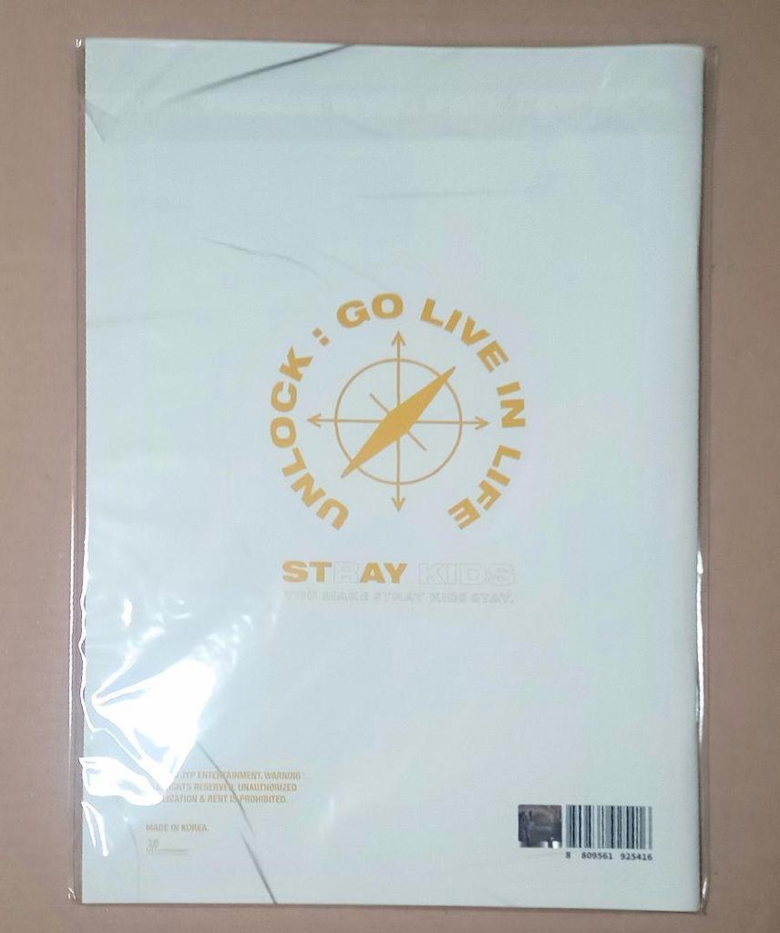 [USED] Stray Kids UNLOCK:GO LIVE IN LIFE Photobook