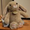 Cute Rabbit Plush Toy Stuffed Animal Doll Soft Sleeping Pillow Girl Birthday Gift Cuddly Companion