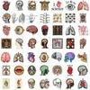 50PCS Retro Scientific Anatomy Sticker Physiology Anatomy Luggage Laptop Cars PVC Guitar Coffee Skateboard Notebook Decals
