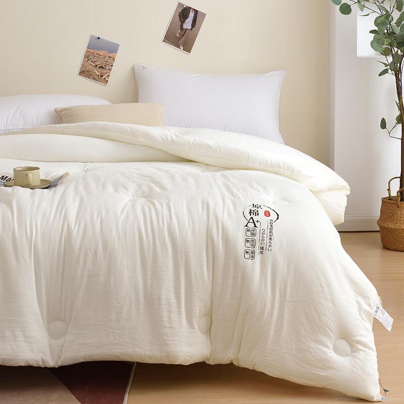 Soybean Fiber & Cotton Winter Quilt