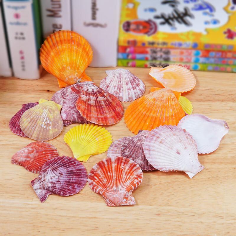 Creative DIY Craft Kit