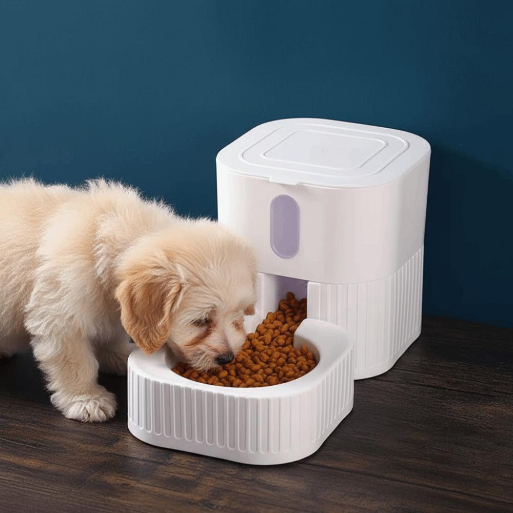 Practical Non-slip Automatic Pet Feeder Detachable Plastic Cat Water Dispenser Drinking Fountain Cat Food Bowl Daily Feeding