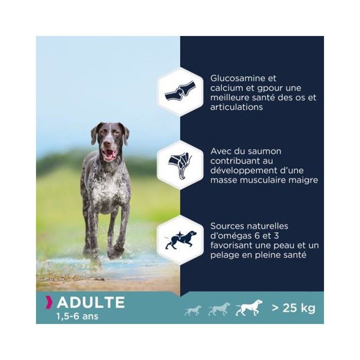 Eukanuba Chien Adulte Sans céréales Grandes Races Riche en Poissons 3 kg