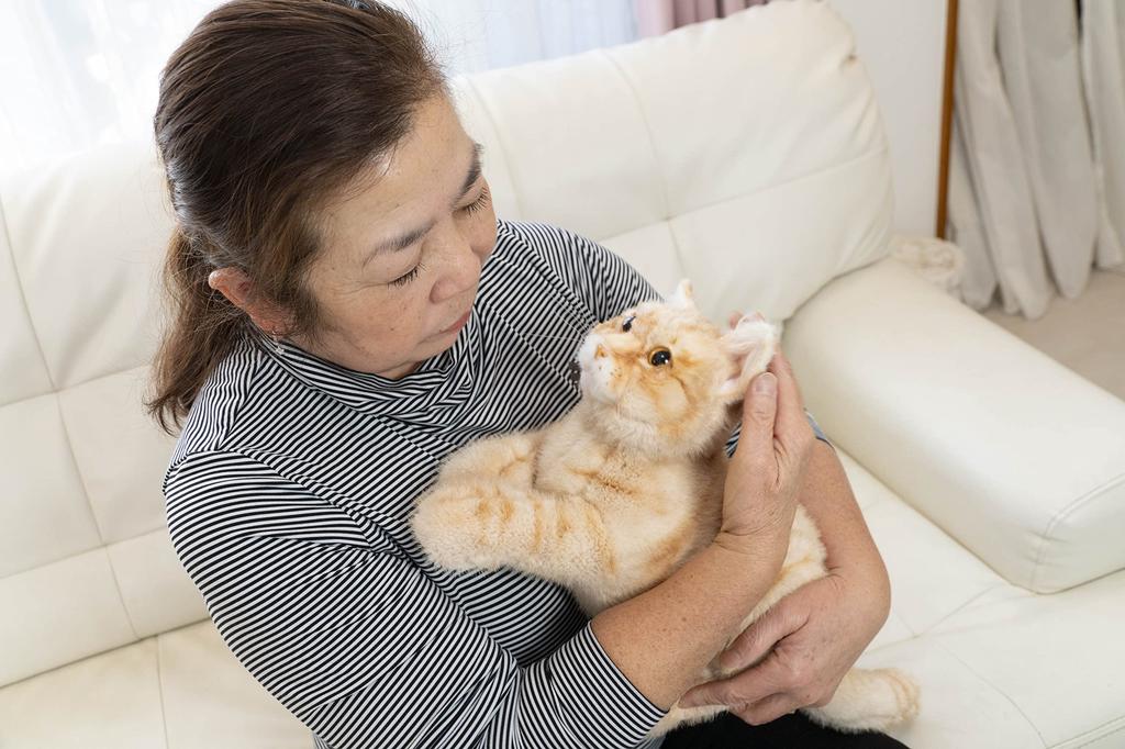 Trend Master Petting Cat EX Tiger [Pet Toy That Meows When Stroked] Realistic Communication Robot