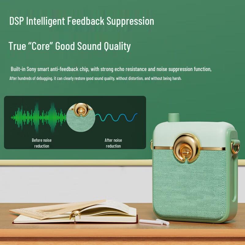 Suoai Wireless Portable Voice Amplifier