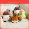 Parrot Plush Toy With Pp Cotton Filling For Gift And Home Decor