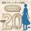 [Balloon Shop] 20th Birthday Number Balloon Stylish Decoration Commemorative Photo Girl Boy Adult 20 Years Old Adult Surprise Luxury Japanese Dress Pr
