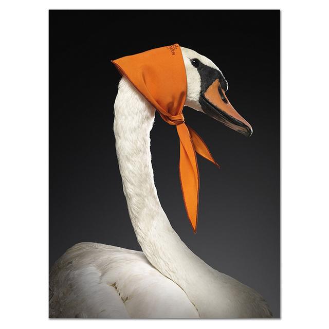 

Элегантный лебедь в шарфе Постеры и принты Животные Скандинавское настенное искусство HD Картины на холсте Комната Домашний декор Cuadros 21x30cm No Framed
