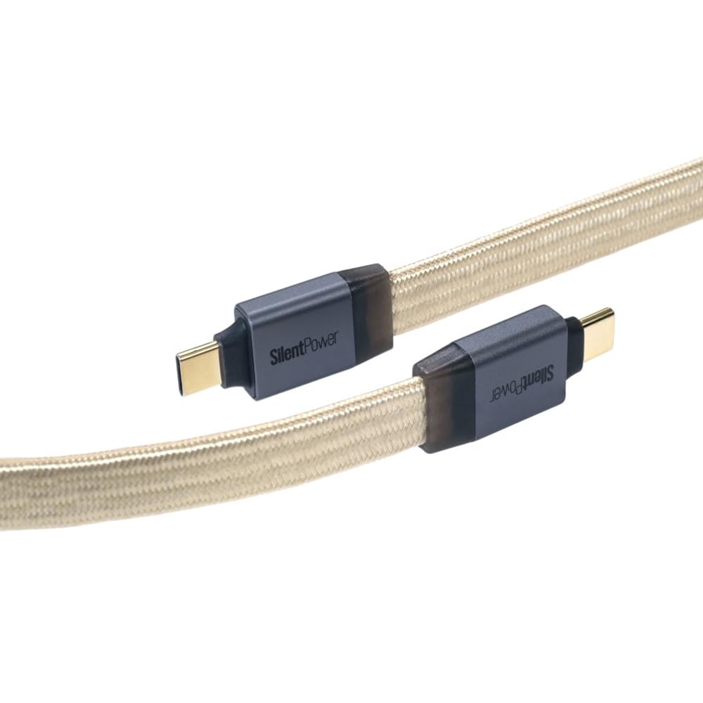 SilentPower Pulsar USB from an Authorized Japanese Conditioner [Ships Retailer] SLP-PULSAR-USB Type-C