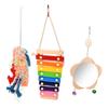 3Pcs Chicken Toys Xylophone Toy Mirror Toy Brushed Toy Bite Toys for Rooster Hen Parrot