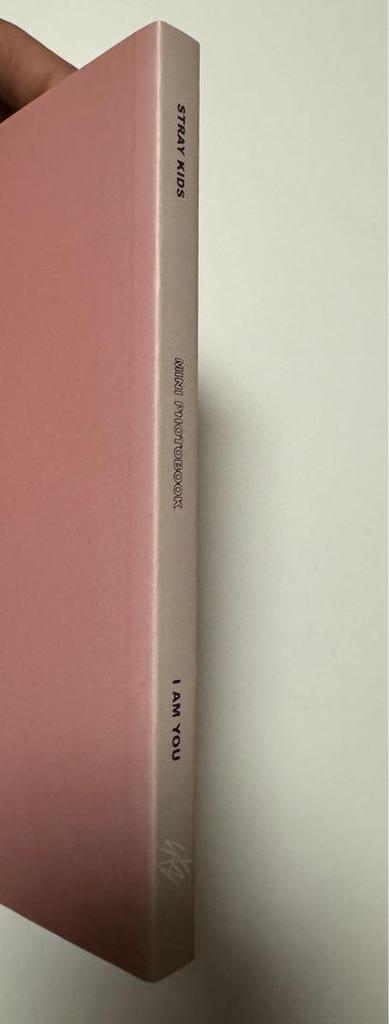 [USED] Stray Kids I AM YOU Photobook