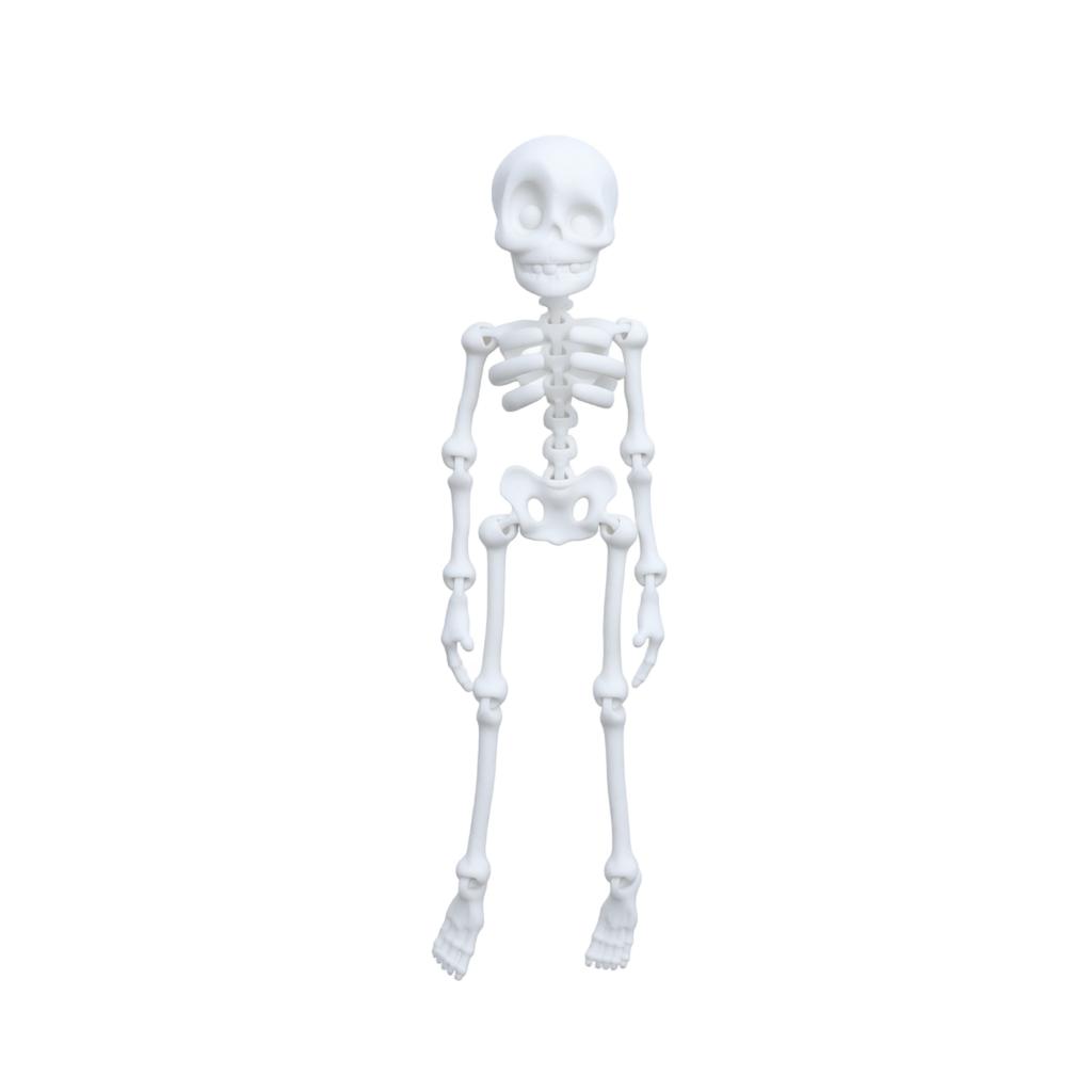 3D-gedruckte Skelettfigur Magnetischer Kühlschrankmagnet Spielzeug Heimdekoration Modell mit beweglichen Gelenken zum Ausstellen und Sammeln
