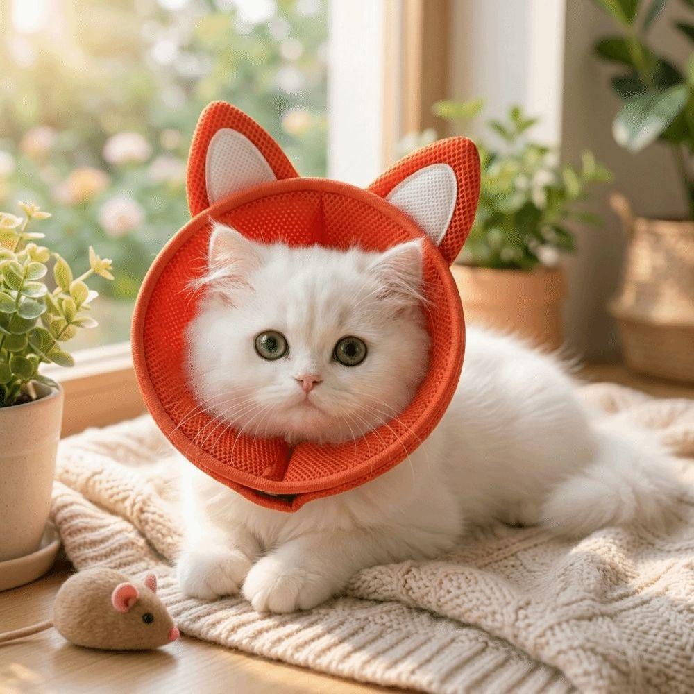 Tierförmiger Katzen-Elizabeth-Kragen Verstellbarer Katzen-Genesungskragen Katzen-Kegelkragen Kratzfest
