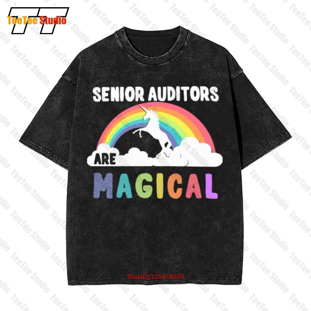 Senior Auditors Are Magical Vintage Oversized TShirt PEKI S