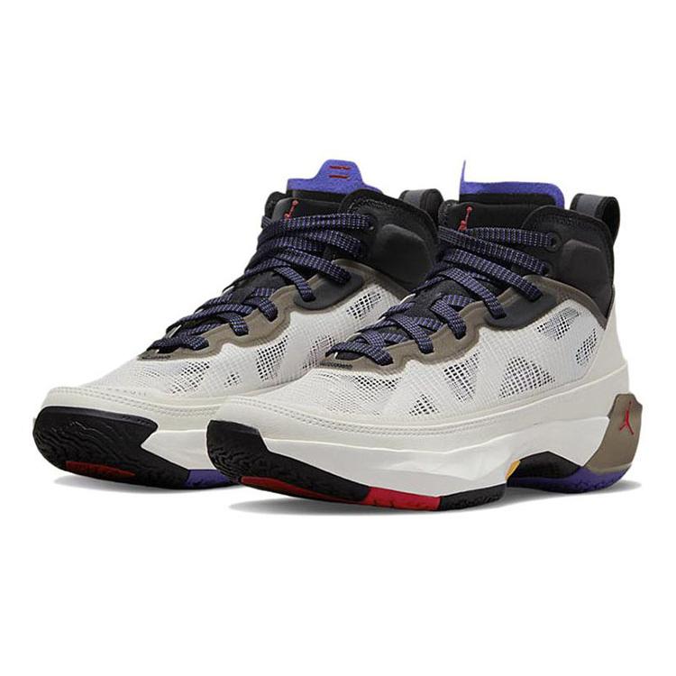 Jordan 37 Light Bone Dark Concord GS DD7421-060