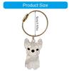Clear Dog Furs Keepsakes Keychain,Dog Hair Holder Keychain Pet Furs Keepsakes Keychain Memorial Keyring Pet Lover Gift