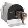 Katzenklo mit Haube, Katzentoilette für Kätzchen, mit Deckel, Schaufel, Filter, Klappe, Hellgrau