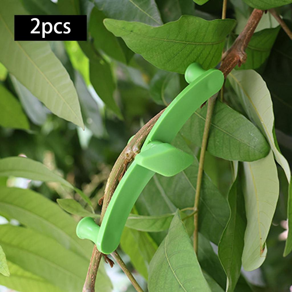 Verstellbarer Astspreizer für Obstbäume zur einfachen Bonsai-Modellierung