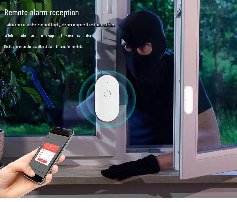 Smart Graffiti WiFi Door/Window Sensor with Anti-Theft Alarm and App Notifications