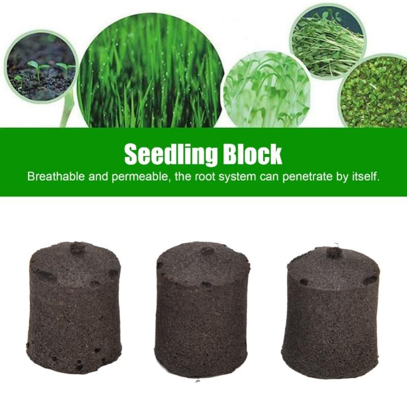 50pcs Growth Plugs Seed Starter Plugs Seed Starting Blocks For Hydroponic And Soil Applications