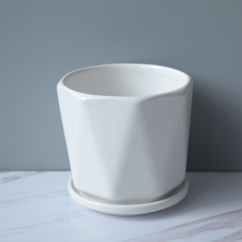 Extra Large Ceramic Flower Pot with Saucer for Succulents and Orchids, Creative Balcony Gardening Stand.