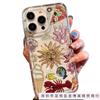 Sun Coral Lobster is suitable for Apple 16promax mobile phone case 15plus transparent 14 across 13 Europe, America and 12 airbags.