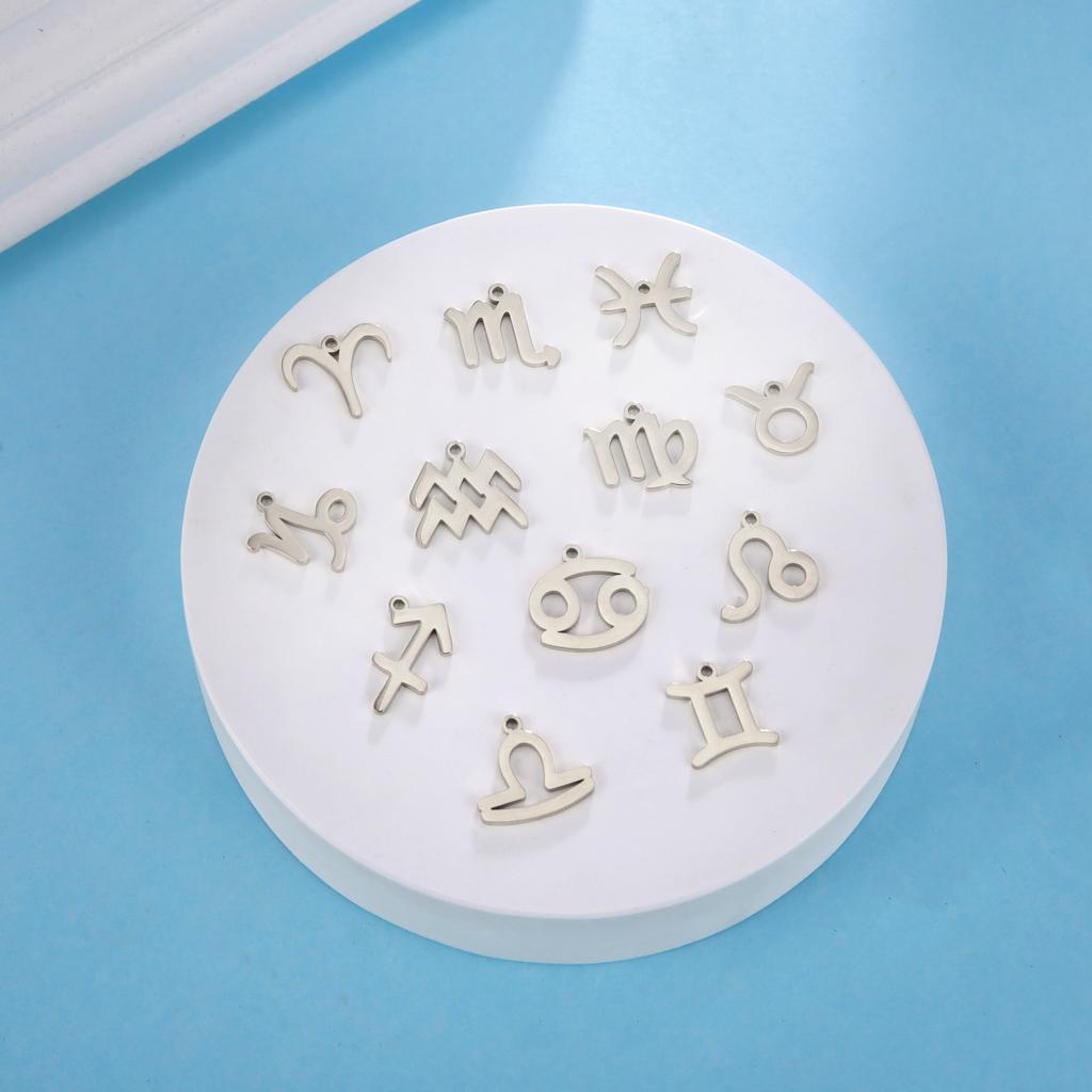 12pcs/lot Stainless Steel Zodiac Charms Horoscope Astrological Sign DIY Pendant for Necklace Bracelet Jewelry Making