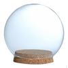 Display Ball Cloche Flower Jar Dome Immortal Preservation, Miniature Dollhouse Container with