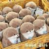 New Cartoon Otters Holding Fish Plush Doll With Chain Creative Kawaii Keyrings Hanging Pendant Jewelry School Bag Wallet Charms