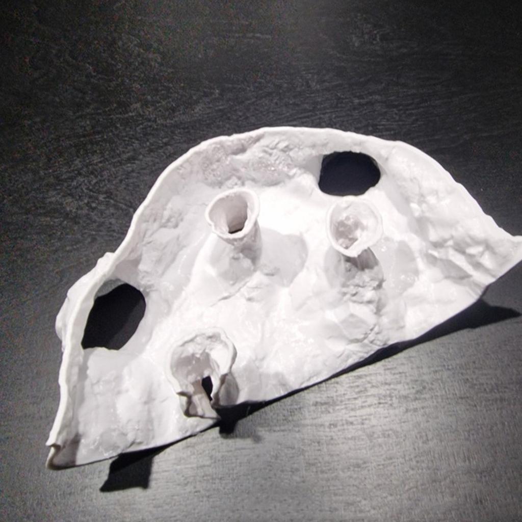 Natural Textured Aquariums Cave Decoration With Multiple Entries For Fish Shrimp Safety And Tanks Environment Enrichment