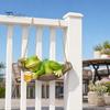 Frog Figurine Hanging Figurine, Resin Hammock Ornament Holding Beer Waterproof Garden Mug, Cute Statue for Patio Balcony Decoration Healing Courtyard