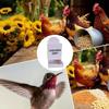 Chicken Oyster Shell And Grit Feeder Hanging Chicken Feeder Trough Versatile Oyster Shell Feeders For Chickens Gravity Poultry
