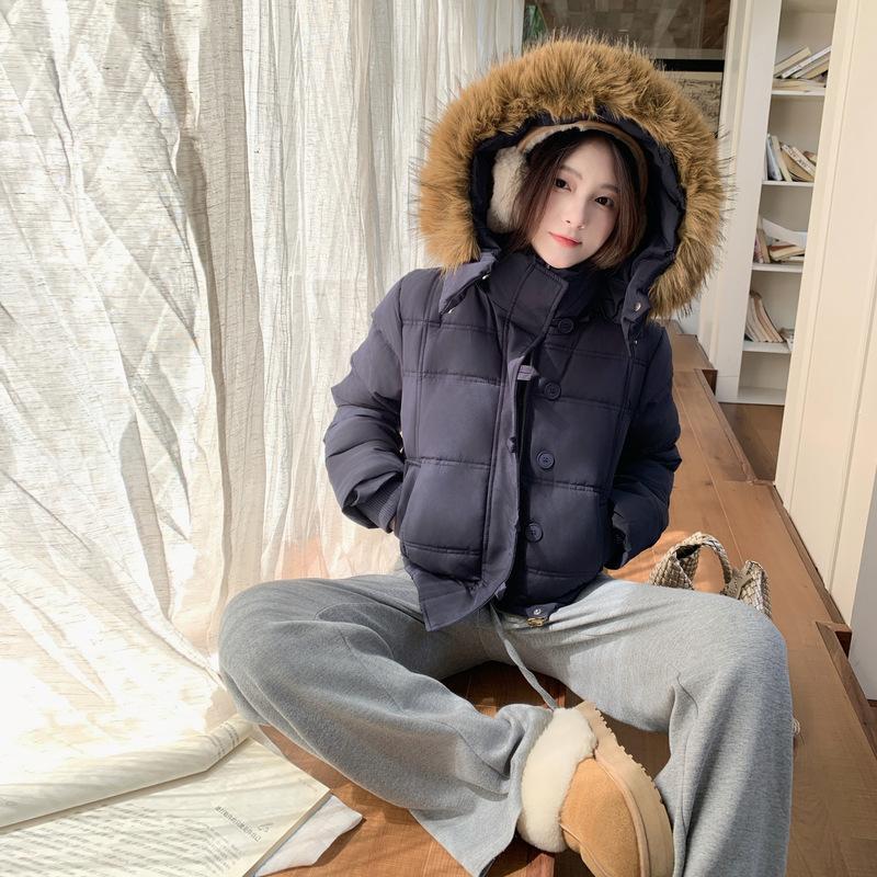 Winter new hooded cotton-padded clothes, cotton-padded clothes are thin and simple, big fur collar short coat women