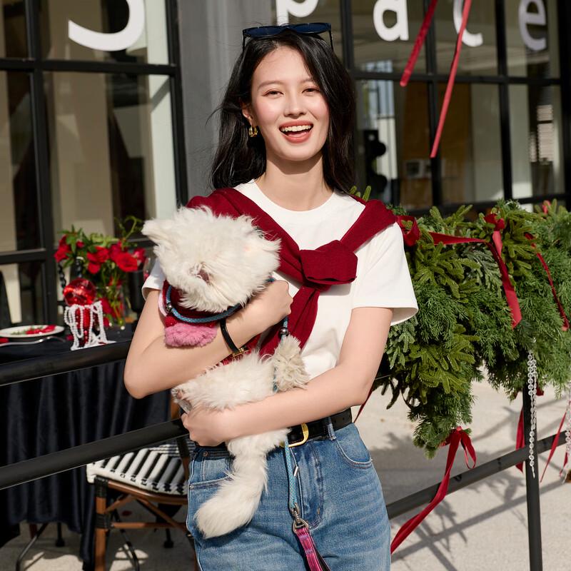 Sancai 2026 Spring Pony Embroidery Basic T-Shirt