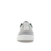 Nike Malor SB Platinum Tint Fir Unisex Tenisky Šedá Vlčí šedá Summitově bílá FV6064-002