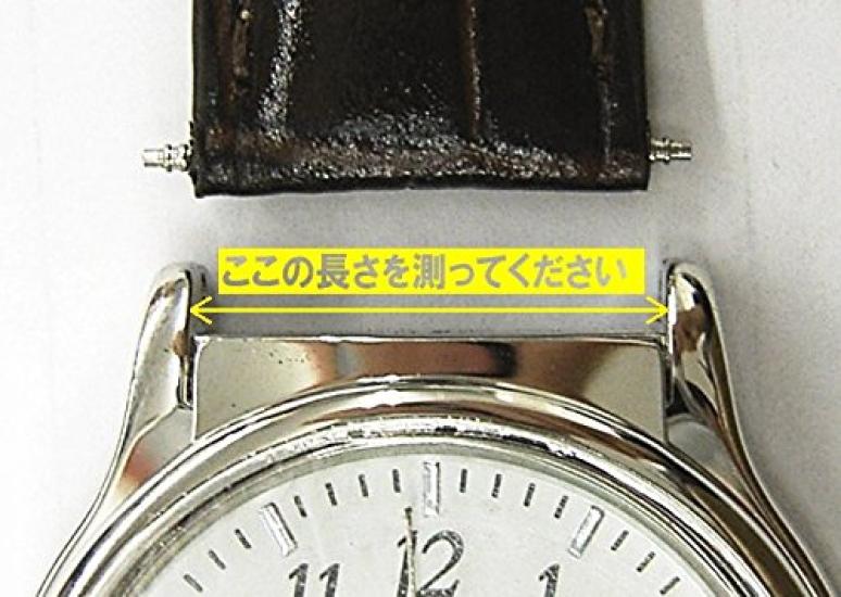 PLATA Federsteg Edelstahl Uhrenwerkzeug Set mit 10 [14mm]