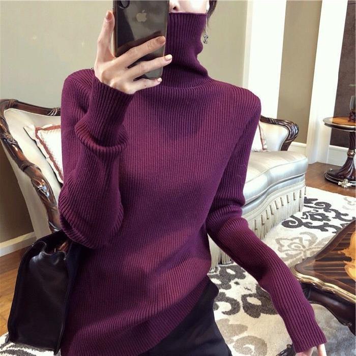 Women's Spring & Autumn Slim-Fit High-Neck Knit Sweater - Loose Inner Wear Base Layer Top