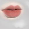 Irregular Lip Glaze Matte Velvet Lip Clay Grey Powder Low Saturation Vegan White Versatile Not Picky Skin