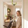 Retractable Cat Hanging Swing Toy Automatic Lifting Self-Entertainment Toy  Indoor Use