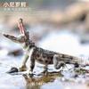 Alligator Crocodile Figurine Plastic Model Figure - Enjoyable Instructive Enjoy Toy Designed for Boys Girls and Children Ages 18M