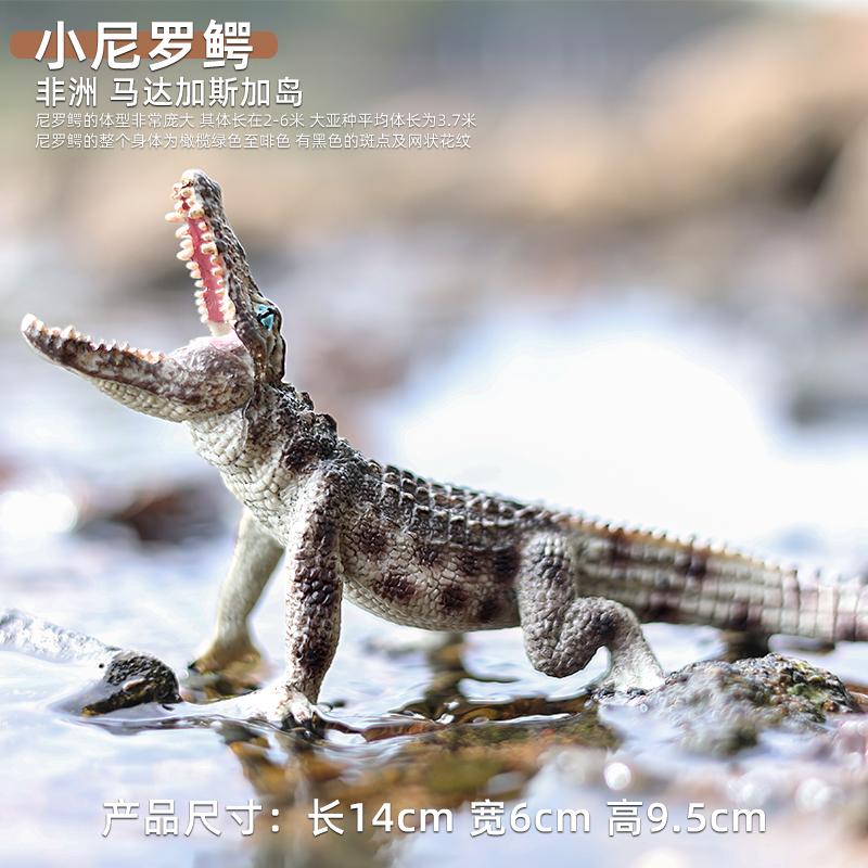 Alligator Crocodile Figurine Plastic Model Figure - Enjoyable Instructive Enjoy Toy Designed for Boys Girls and Children Ages 18M