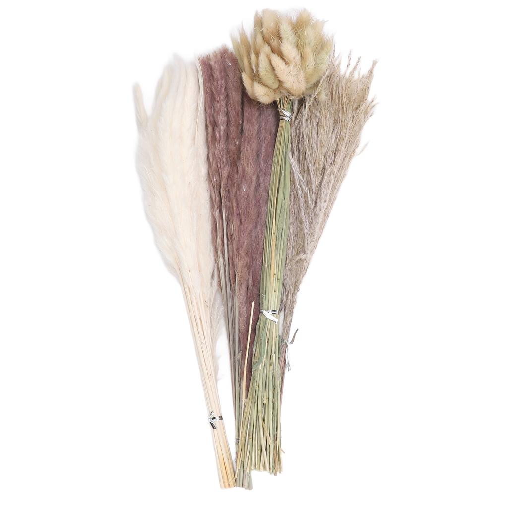 100pcs Mixed Dried Pampas Grass Bouquet Bunny Tail Pampas Reed Grass Home Decor Table Centerpieces