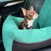 Silver Dog Car Seat