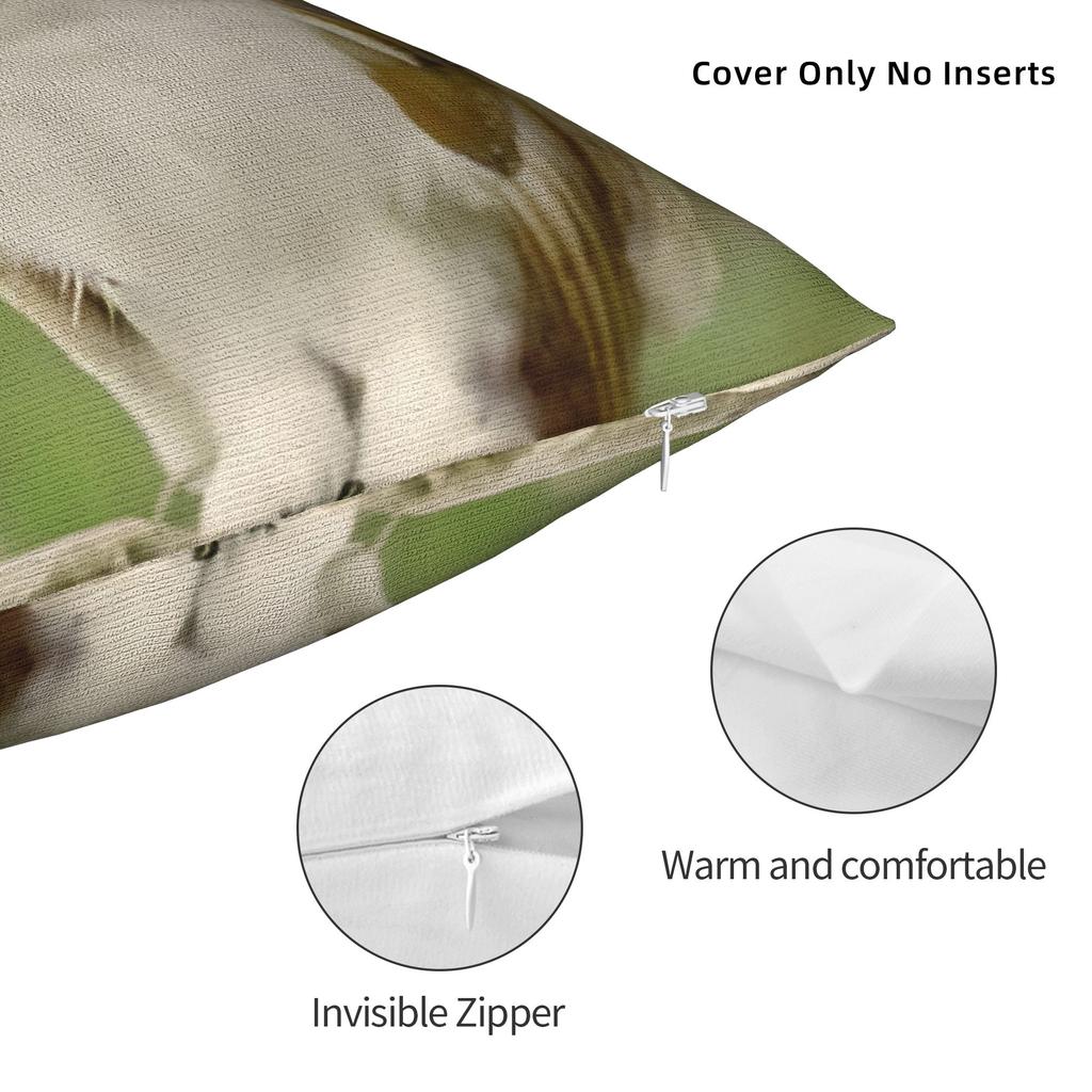 Decorative Pillowcase Meowl Cat Owl Meme Accessories Bed Pillow Case Cover Zippered Multi-Size