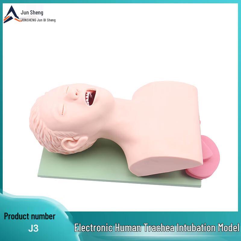 JunSheng Adult Tracheal Intubation Training Model with Tooth Alarm